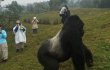 Rwanda & Congo Gorilla Expedition