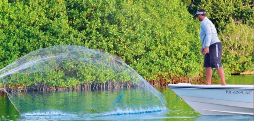 Light Tackle Fishing Charter Tarpon Legend