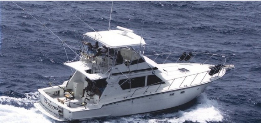 Full Day Deep Sea Fishing Charter