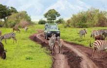2 Days safari in Tarangire and Ngorongoro