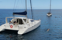 Maui Ocean Charters1