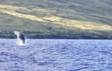 Maui Ocean Charters18