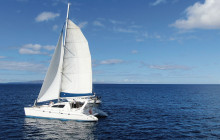 Maui Ocean Charters19