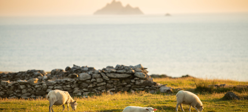 Scenic Ring of Kerry Guided Tour from Killarney