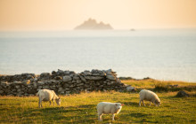 Ireland Wild Escapes2