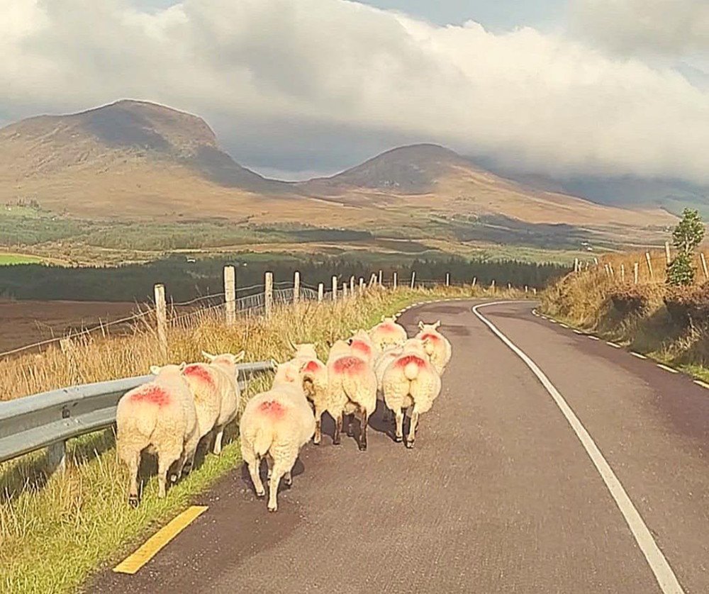 Ireland Wild Escapes