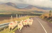 Ireland Wild Escapes6
