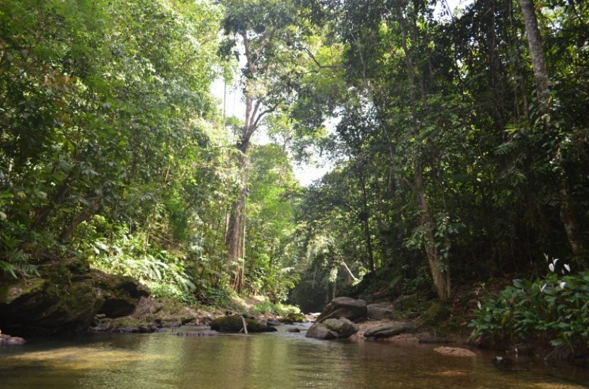 Adventure Hike to Waterfall