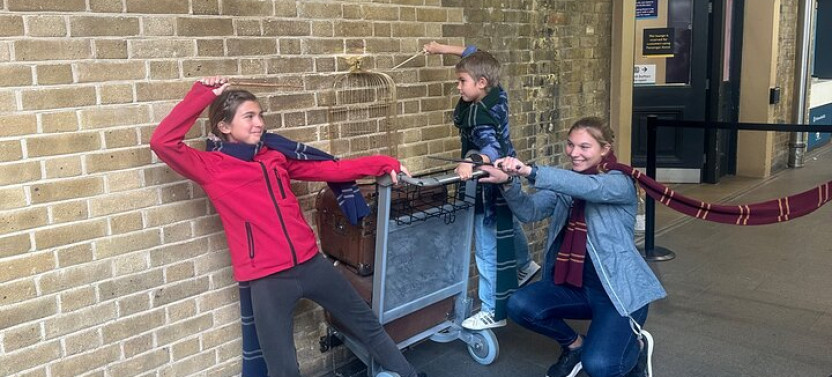 London Harry Potter Private Black Cab Tour With Hotel Pick Up