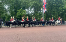 London Sightseeing Taxi Tours3
