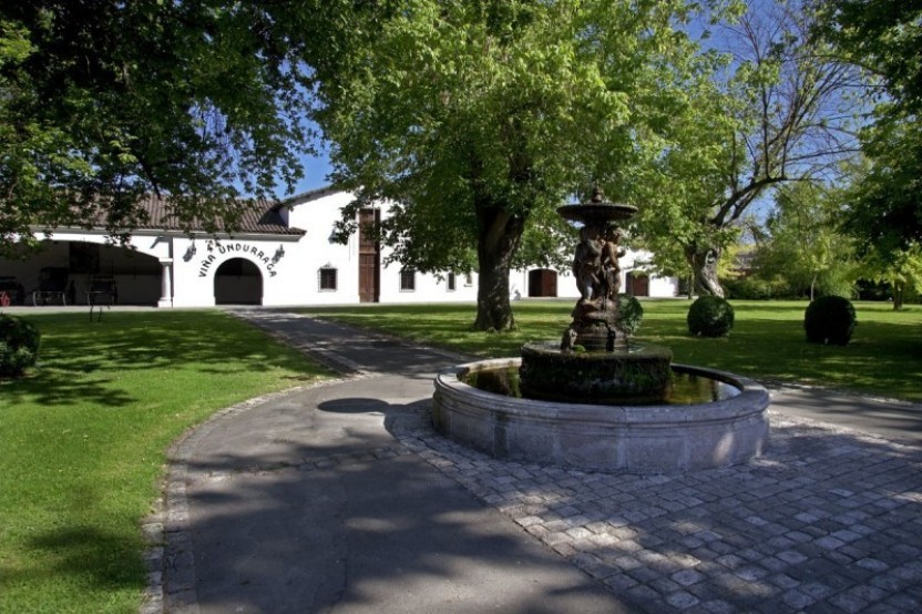 Undurraga Winery and Lunch Half Day Tour