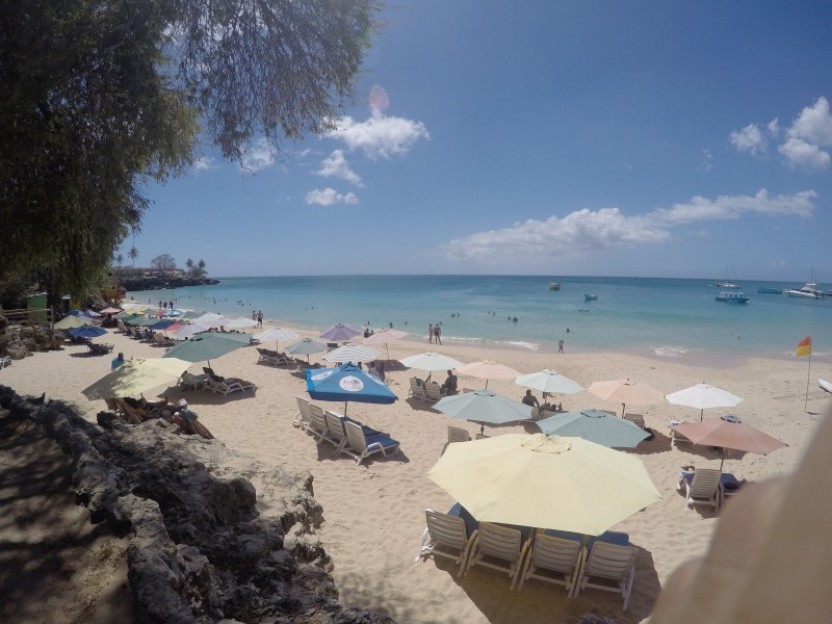 Tobago Highlights