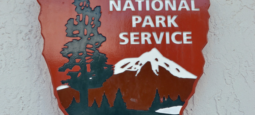 Explore Clingmans Dome: Scenic Walking Tour
