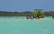 Tobago Buccoo Reef with Highlights