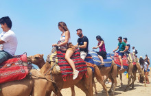 Naturanda Turismo Ambiental S.L.1