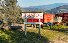 Ciao Florence Tours and Travels Srl5