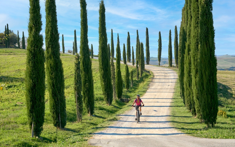 Discover Tuscany by E-Bike: Chianti Wine Region with Lunch & Wine Tastings