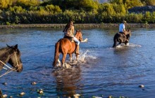 Horseback Wine Tour and a Chilean Country Grill - Private Tour