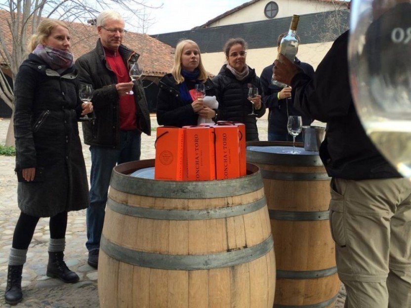 Half Day Tour Concha y Toro Winery with Lunch