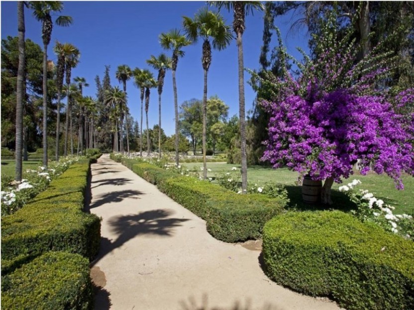 Undurraga Winery and Lunch Half Day Tour