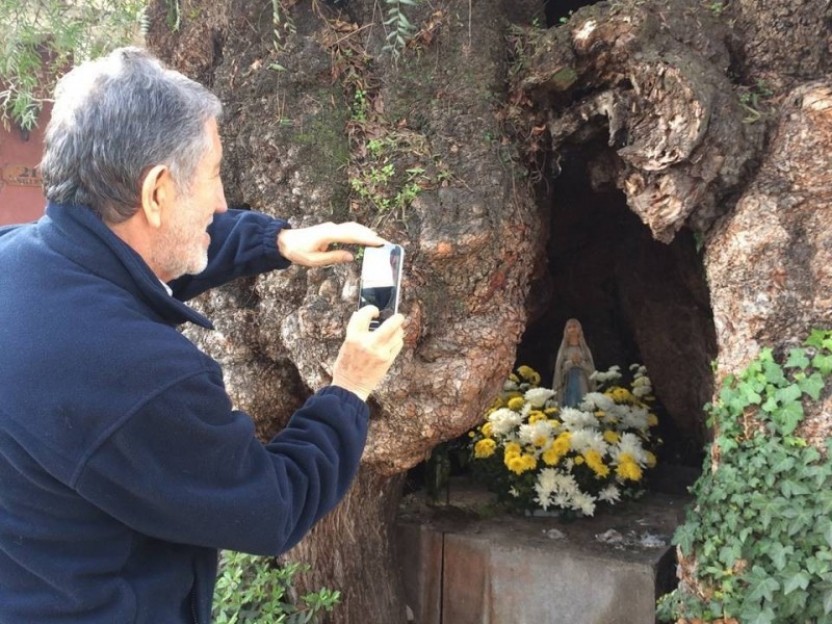 Culture and Wine in Maipo Valley