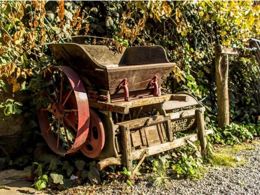 Culture and Wine in Maipo Valley