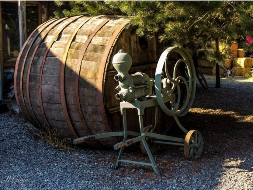 Culture and Wine in Maipo Valley