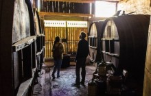 Culture and wine in Maipo Valley