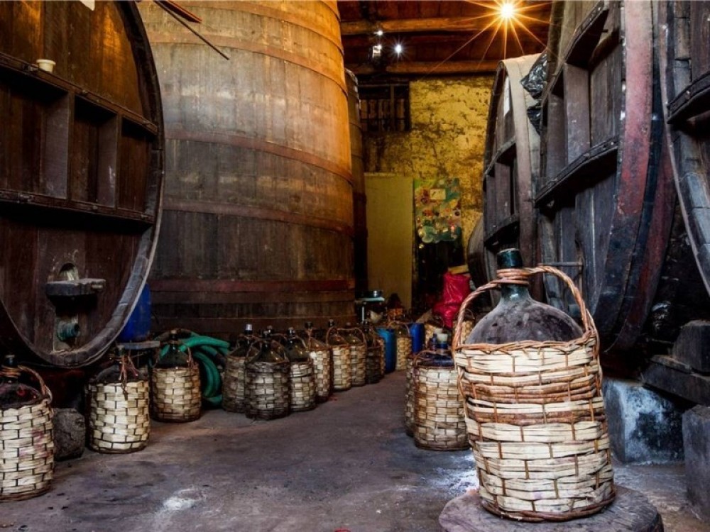 Maipo Valley Wine Tours