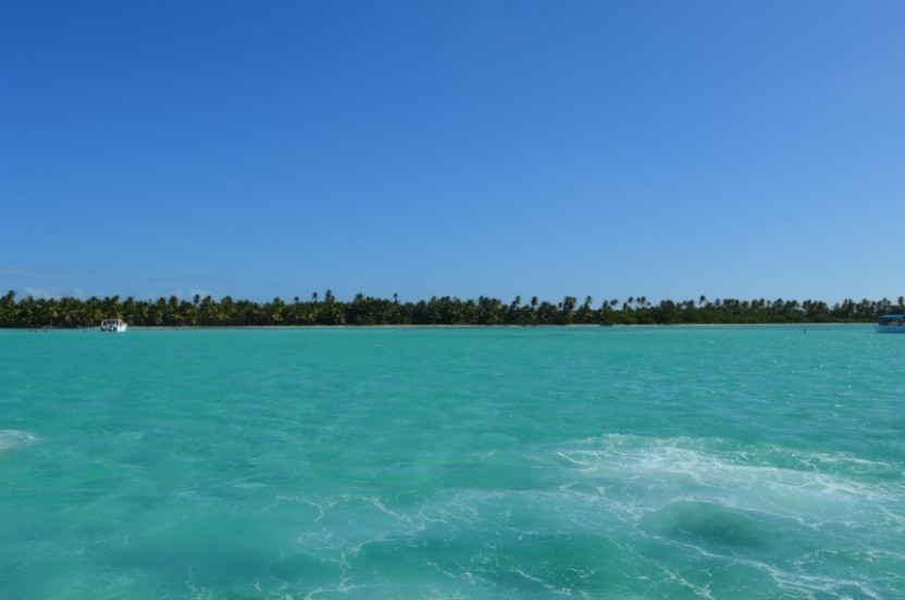Saona Island Day Tour from Punta Cana