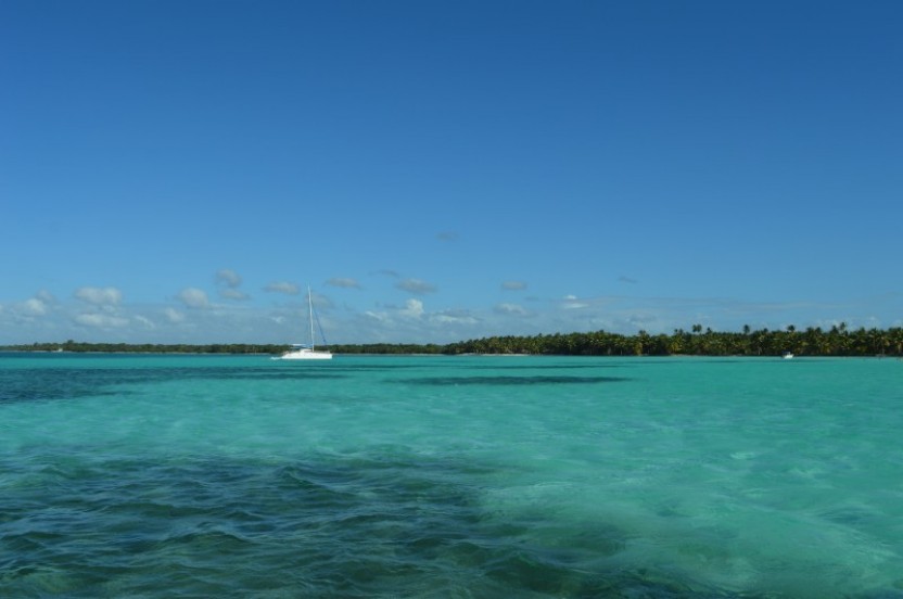 Saona Island Day Tour from Punta Cana