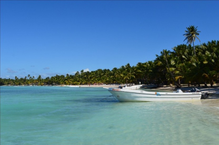 Saona Island Day Tour from Punta Cana
