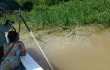 Canoeing Or Kayaking Monkey River Belize