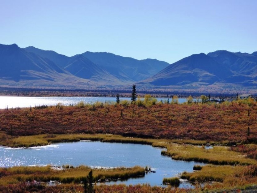 Alaska Kenai Adventure - 9 Days