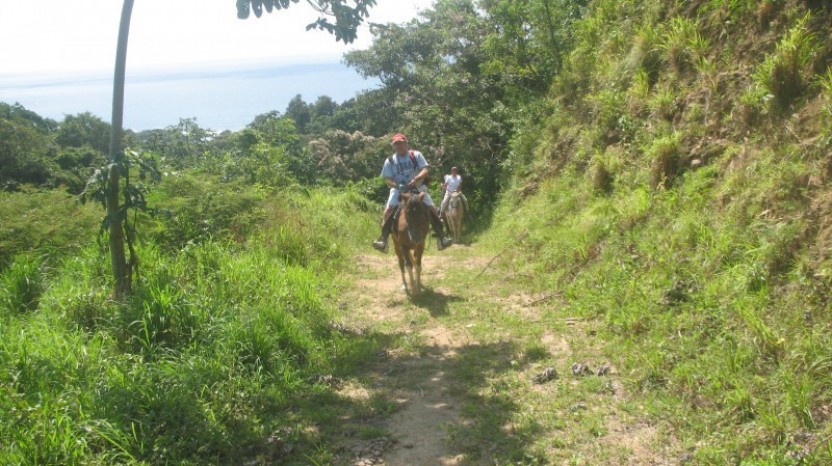 Jungle Horseback Riding