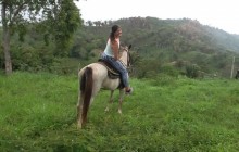 Jungle Horseback Riding