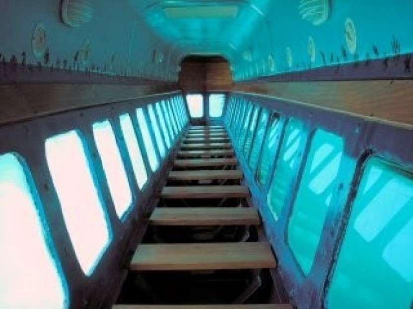 Glass-Bottom Boat