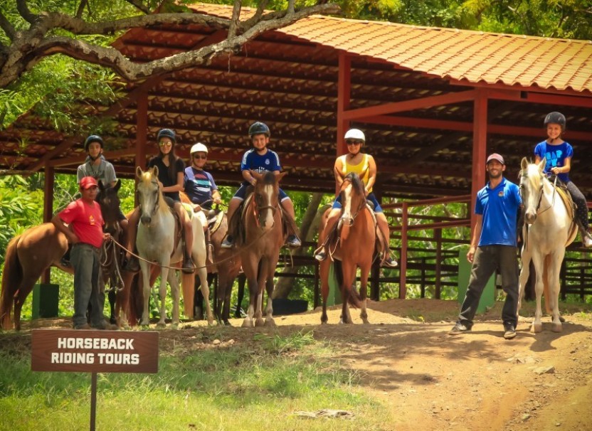 Adventure Pass - Ziplining, Animal Sanctuary, Lunch & more!