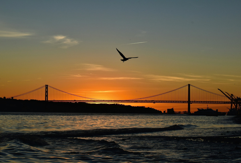Charms of Lisbon: Alfama Tapas Tour and Sunset Sailing - Private Tour