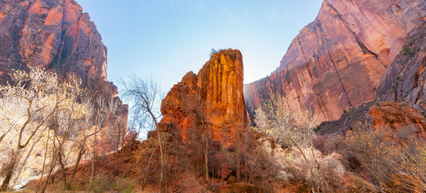Zion National Park Tour From Las Vegas