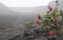 Roberts Hawaii: Shore Excursions2
