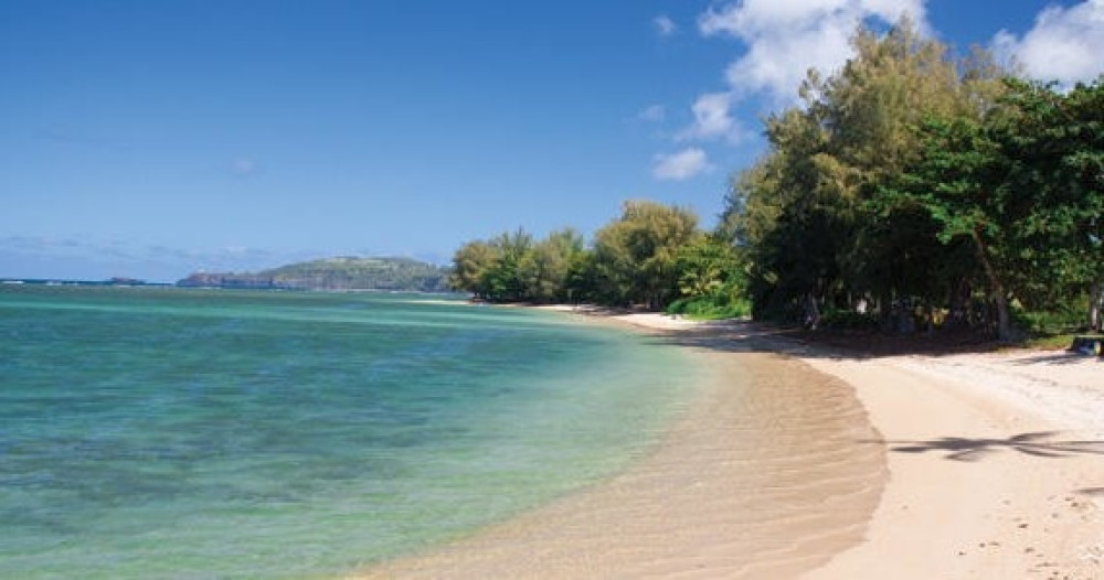 Roberts Hawaii: Shore Excursions