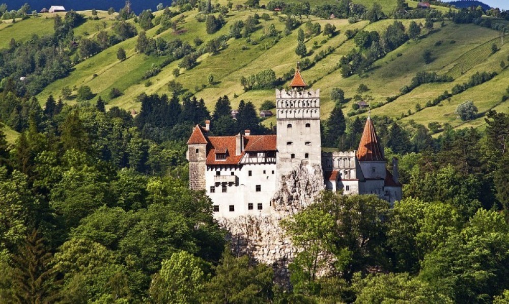 Explore Transylvania: Bear Sanctuary, Bran Castle & Brasov tour