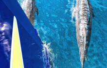 Makani Catamaran4