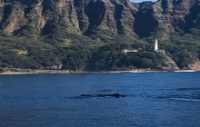 Makani Catamaran7