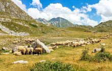 360 Monte Travel Agency - We Are Montenegro12