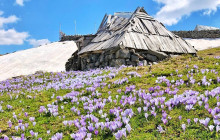 360 Monte Travel Agency - We Are Montenegro8
