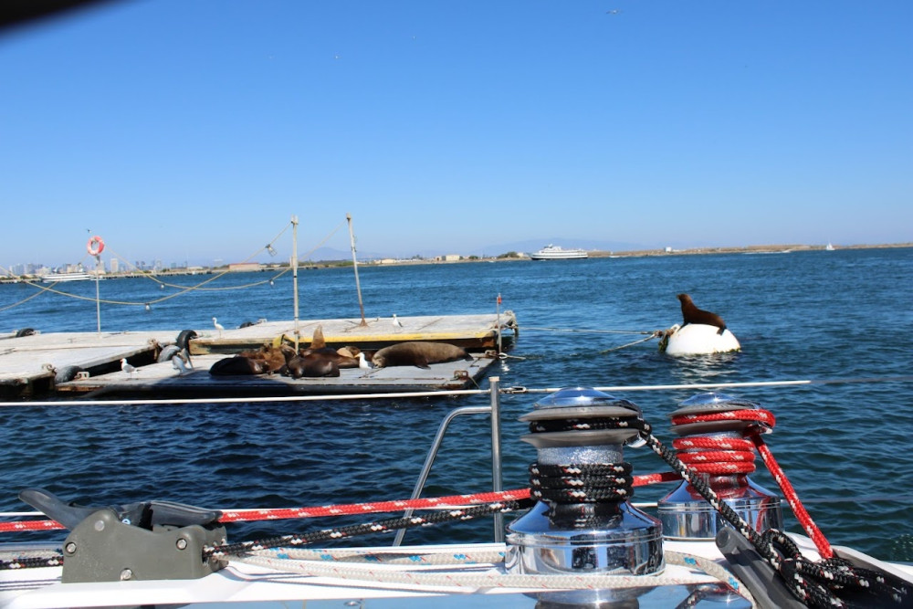 Private Morning Sail - San Diego | Project Expedition