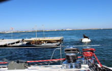 Sea Monkey Adventures LLC15