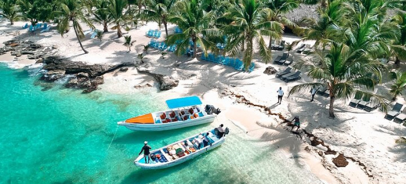 Isla Saona Speedboat Adventure - Lunch, Wildlife & Natural Pools